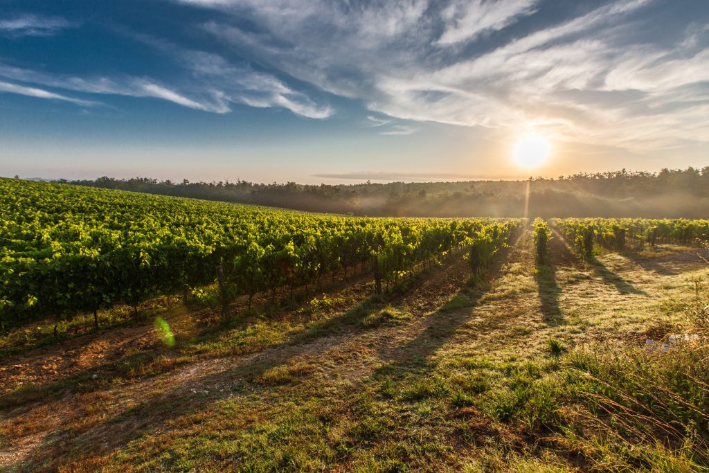 Farm land during sunset